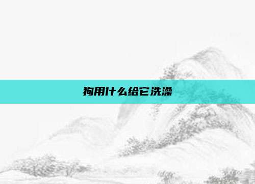 狗用什么给它洗澡