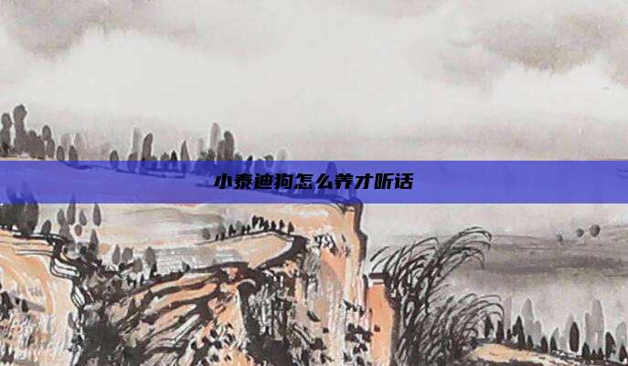 小泰迪狗怎么养才听话