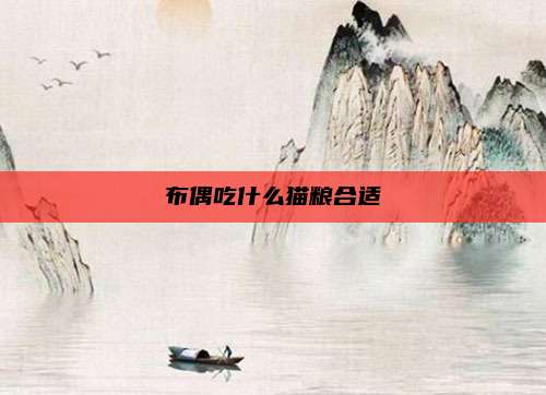 布偶吃什么猫粮合适