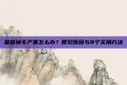 猫咪掉毛严重怎么办？常见原因与8个实用方法