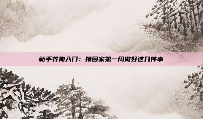 新手养狗入门:接回家第一周做好这几件事