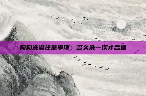 狗狗洗澡注意事项:多久洗一次才合适